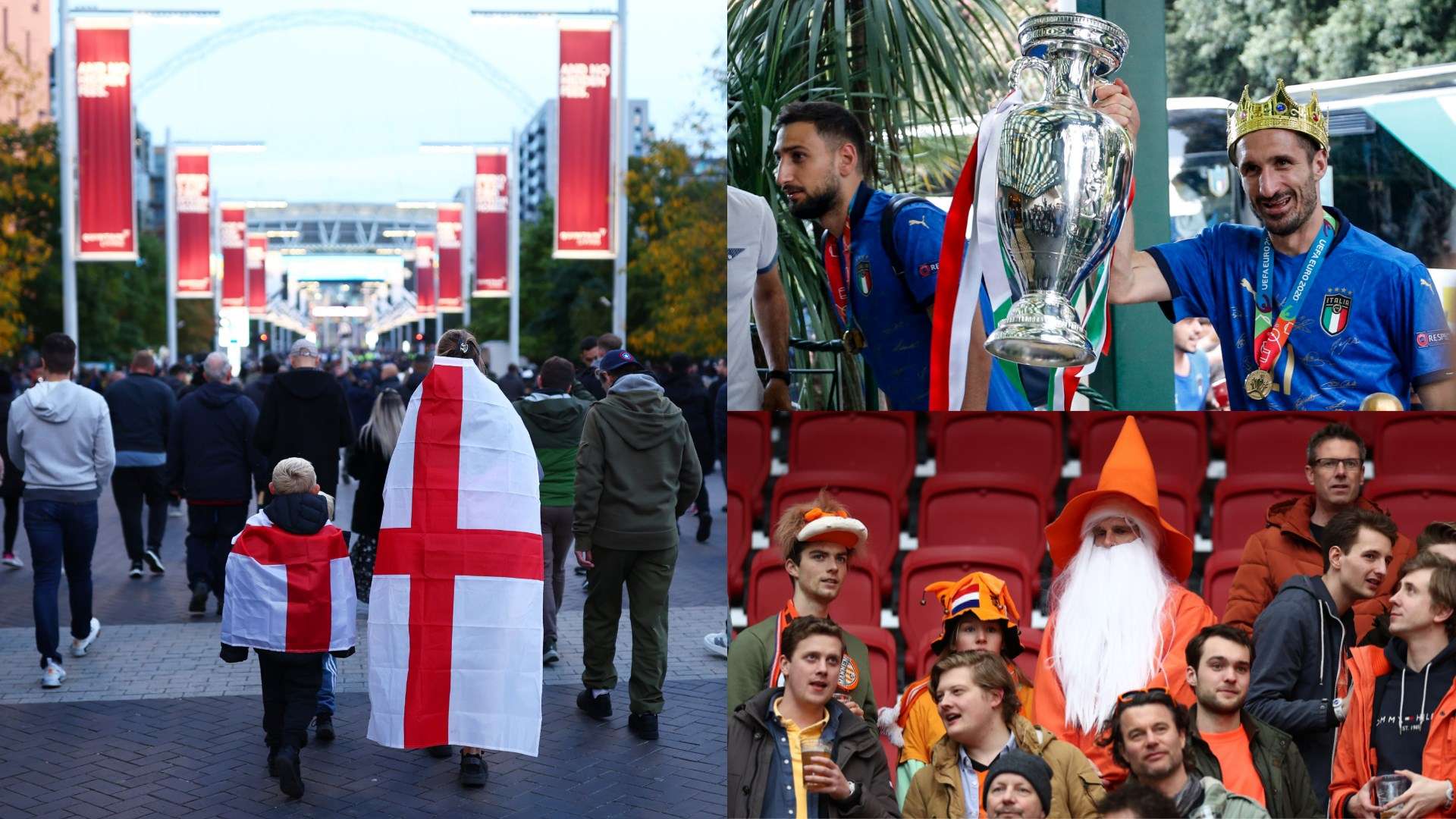 的出色融合 的出色融合