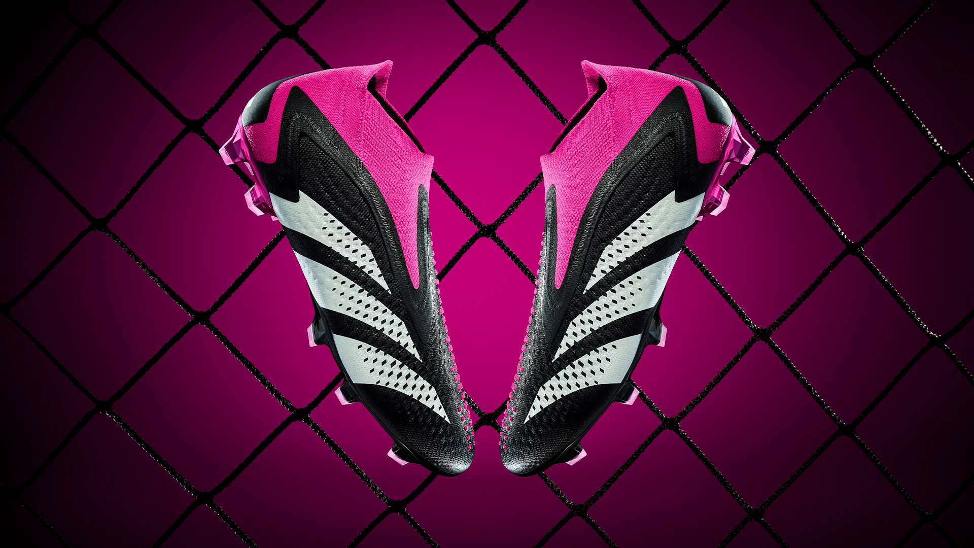 但他现在展 但他现在展