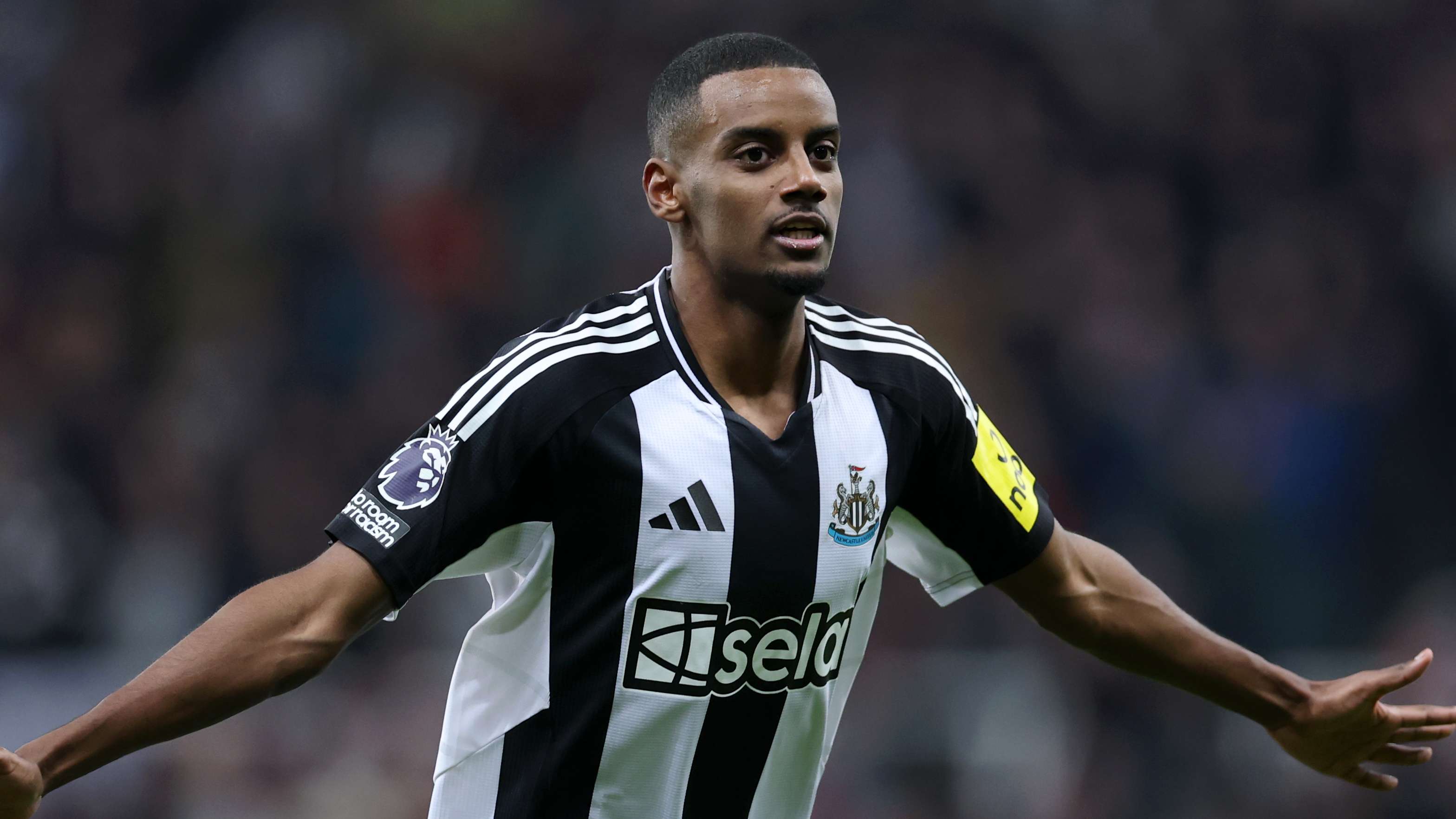 的第一年 的第一年