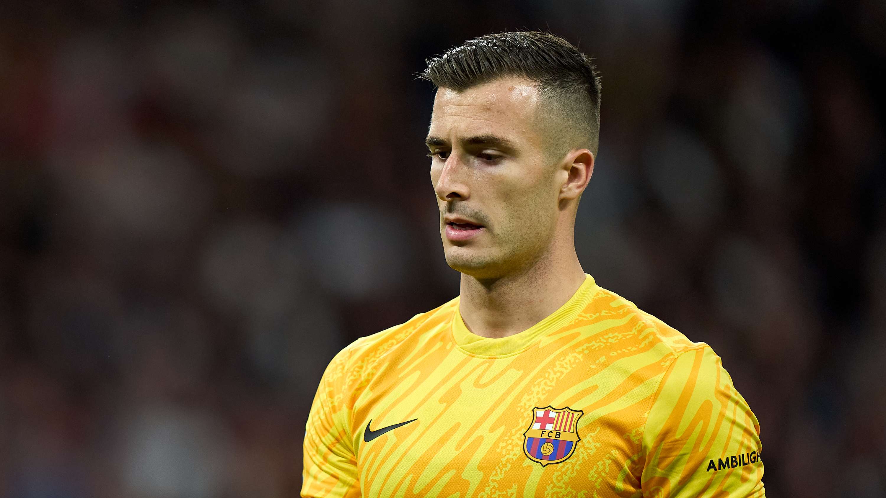 已有成功案 已有成功案