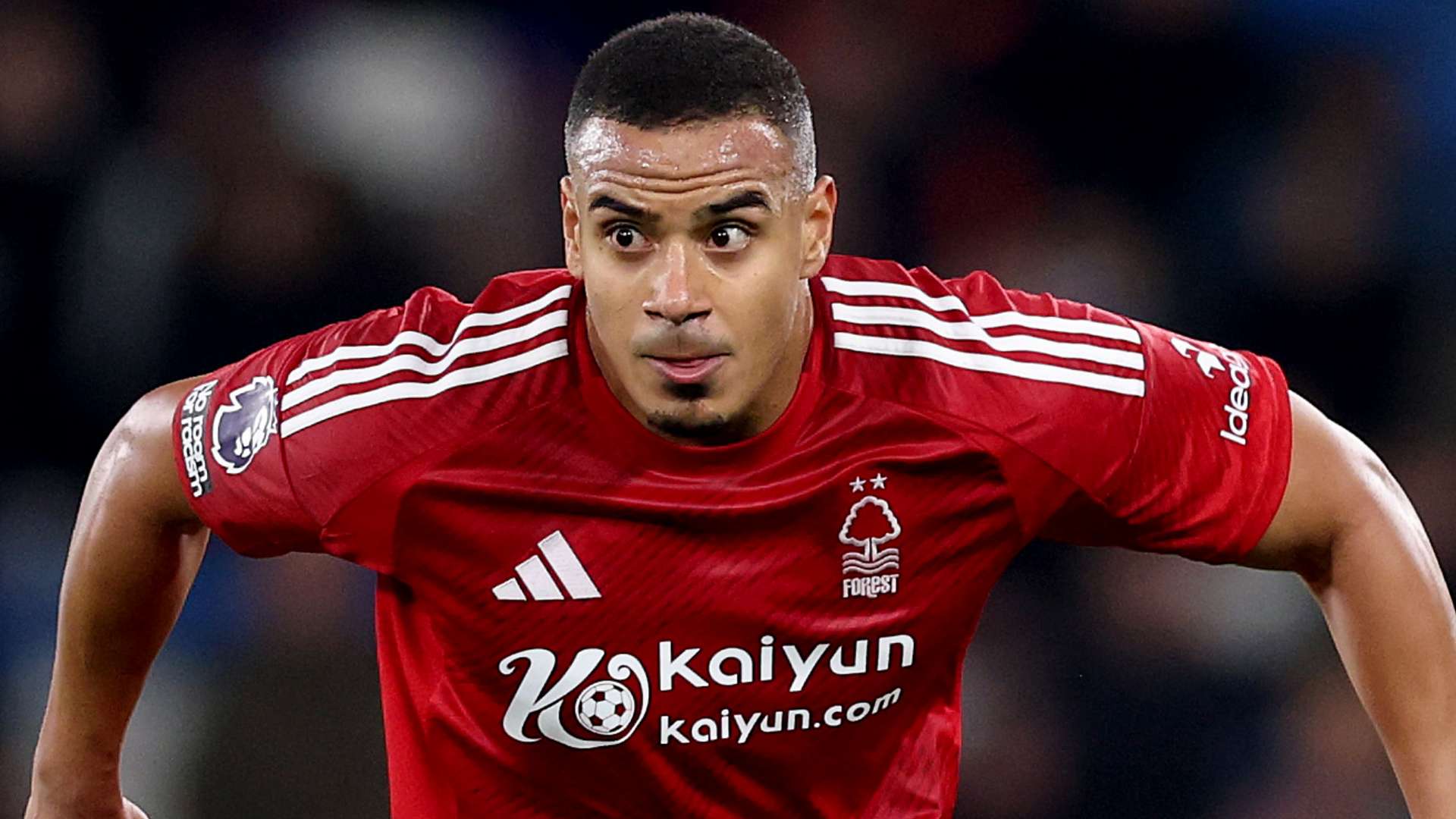 马沙里波夫 马沙里波夫