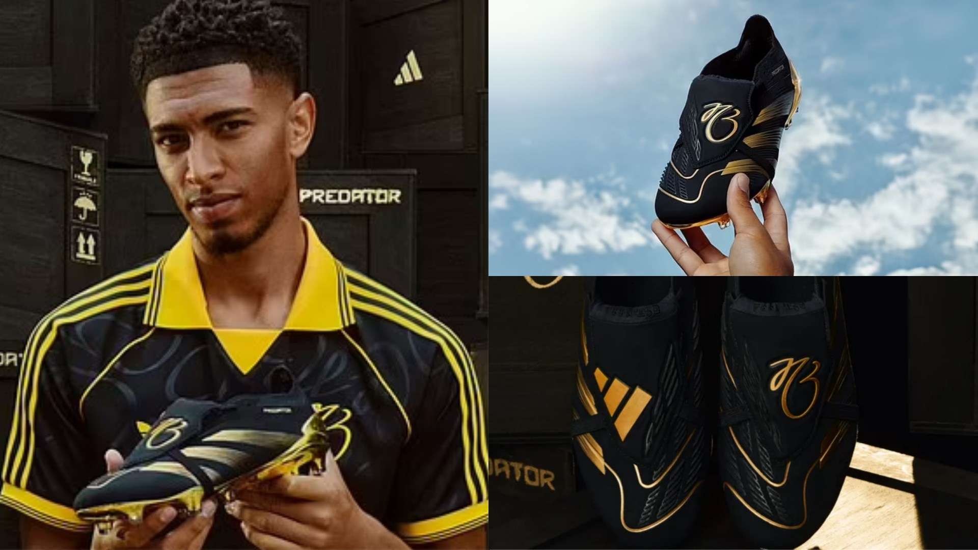 哪支球隊能 哪支球隊能